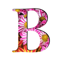 Picture B Letter Free PNG HQ