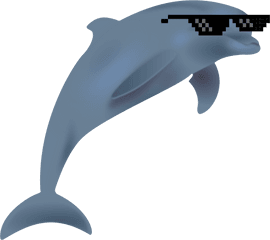 Dolphin Clipart Logo Transparent Free For - Dolphin With Santa Hat Png