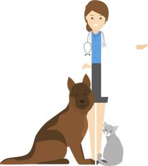 Download Hd Vet With Cat And Dog - Cartoon Transparent Veterinarian Png