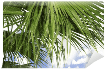 Palm Fronds Wall Mural U2022 Pixers - We Live To Change Fresh Png