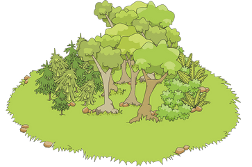 20 Forest Clipart Transparent Background Free Clip Art Stock Png