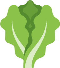 Lettuce Icon - Lettuce Icon Png