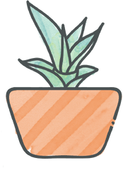 Succulent Identification U0026 Care Tips Studios - Tiny Succulent Clip Art Png