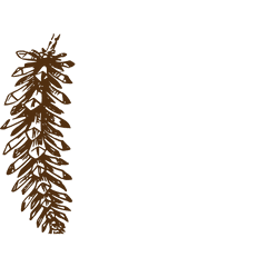 Pine Cone Brown - Pine Cone Clip Art Png