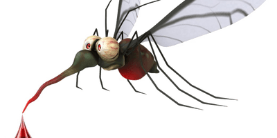 Mosquito Free Photo PNG