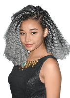 Hairstyle Braids Free HQ Image - Free PNG