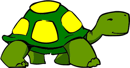 Clipart Png Download Free Clip Art - Turtle Clipart