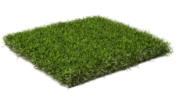 Fake Grass Download HD PNG