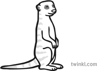 Meerkat Icon Black And White - Meerkat Black And White Png