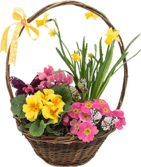 Spring Basket Of Flowers Pictures Photos And Images For - Gif Basket Of Flowers Png