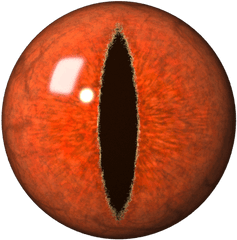 Download Pooper Eye - Dragon Eye Png Png Image With No Portable Network Graphics