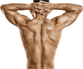 Muscle - Man T Blustar Human Back Png