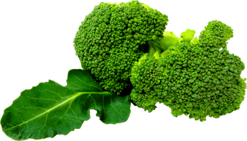 Green Broccoli Png Image