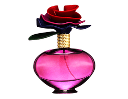 Cosmetics Bottle Perfume Free Download PNG HD