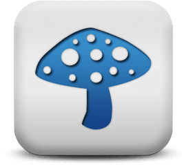 Mushroom Photos Icon Png Transparent Background Free - Food And Beverage