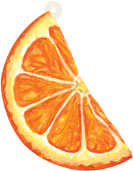 Orange Slice Gift Tag - Clementine Png