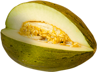 Melon Png Free Download 35 - Melon Vert D Espagne