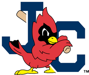 The Birdist Grading Bird - Themed Minor League Baseball Teams Johnson City Cardinals Logo Png