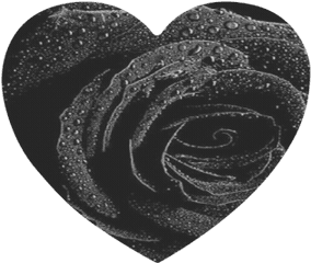 Black Rose Heart - Shaped Mousepad Id D25033 Black Rose Png
