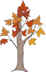 Fall Tree Clipart - Maple Leaf Png