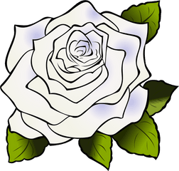 White Rose Svg Vector Clip Art - Svg Clipart Rose Drawing Clipart Png