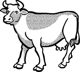 Coloring Clipart Cow Transparent Free For - Coloured Images Of Cow Png