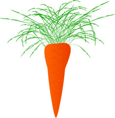 Marchewka Png Clipart - Carrot