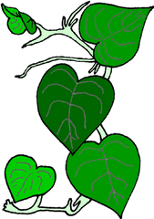 Flower Vine Clip Art Image 19127 - Vine Cliparts Png