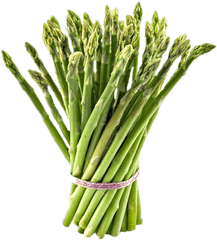 Tied Bundle Of Asparagus Transparent - Asparagus Amazon Png