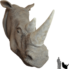 Rhino Head Png 8 Image - Rhino The Animal Head