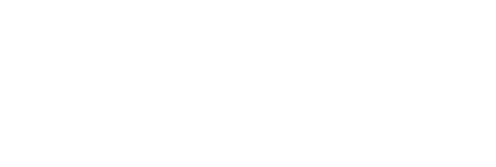 Brave Logo Png Transparent Svg Vector - Small White