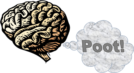 Download Brain - Physiology Of Temperature Regulation Png