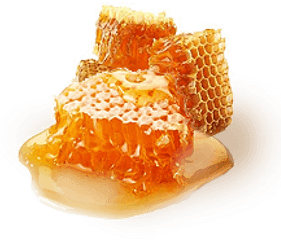 Honey Png Free Image Download 33 - High Quality Honey