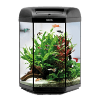 Glass Fish Tank Aquarium Download HQ - Free PNG