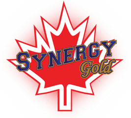 Travel Team Synergy Gold Fastpitch College Prospects - Label Png