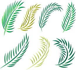 Palm Tree Vectors - Gambar Siluet Daun Palem Png