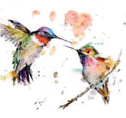 Acuarela - Watercolor Wild Animals Painting Png