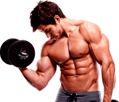 Bodybuilding Hd - Free PNG