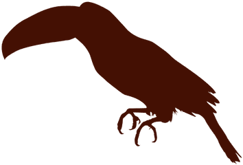 Toucan Bird Silhouette - Toucan Silhouette Png