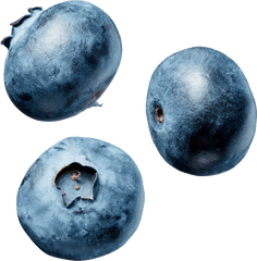 Blueberries Transparent Png Image - Blue Berry Png