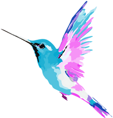 Greta Solomon - Hummingbird Png