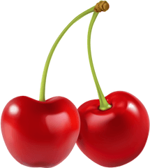 Cherries Png And Vectors For Free - Clipart Cherries Png