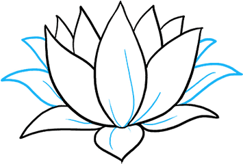 How To Draw A Lotus Flower - Really Easy Drawing Tutorial Pond In Lotus Drawing Png