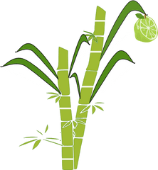 Black And White Transparent Sugar Cane - Sugar Cane Drawing Easy Png