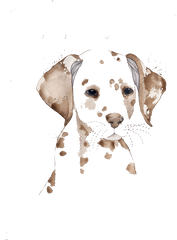 Dalmatian Dog Watercolor Painting - Dogs To Water Watercolor Png