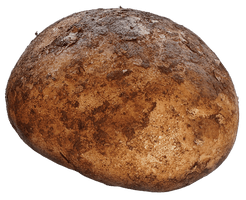 Potato Png Images Pictures Download