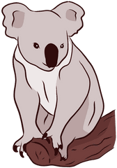 Ear Koala Leg Nose Branch Illustration - Koala Png