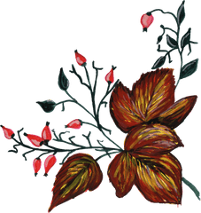8 Paint Flower Ornament - Png Flowers Ornament