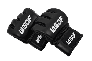 Grappling Gloves Picture Free Clipart HD - Free PNG