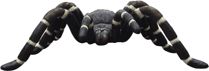 Insect Spider Tarantula Over Sized Bug Prop Resin Decor Statue - Insect Png